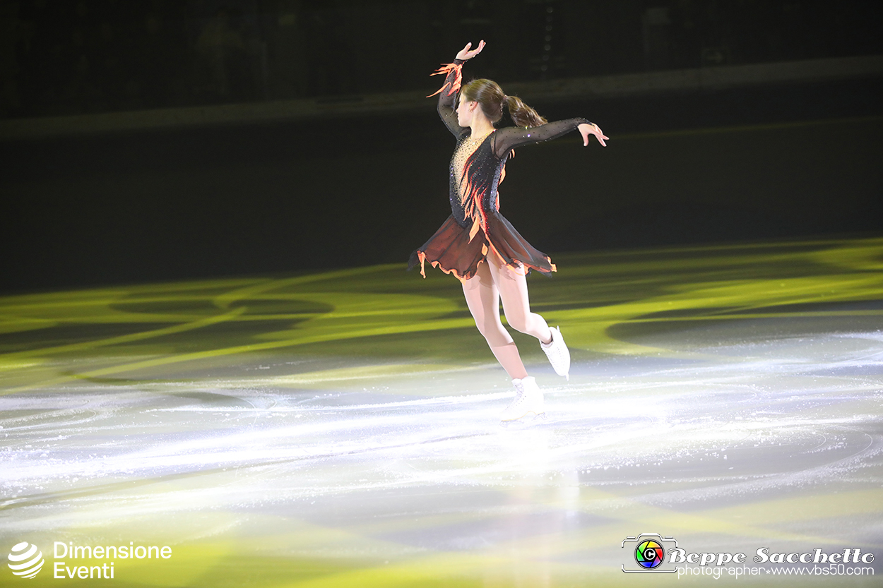 VBS_1337 - Monet on ice.jpg